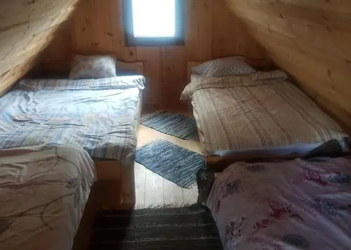 Oksa Puhkemaja * Võru